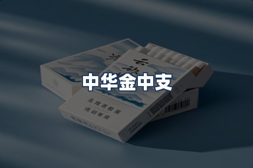 中华金中支